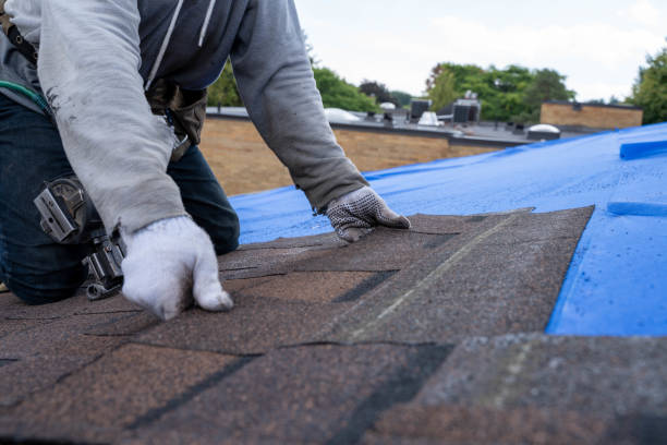 Best Roof Leak Repair  in Moreauville, LA
